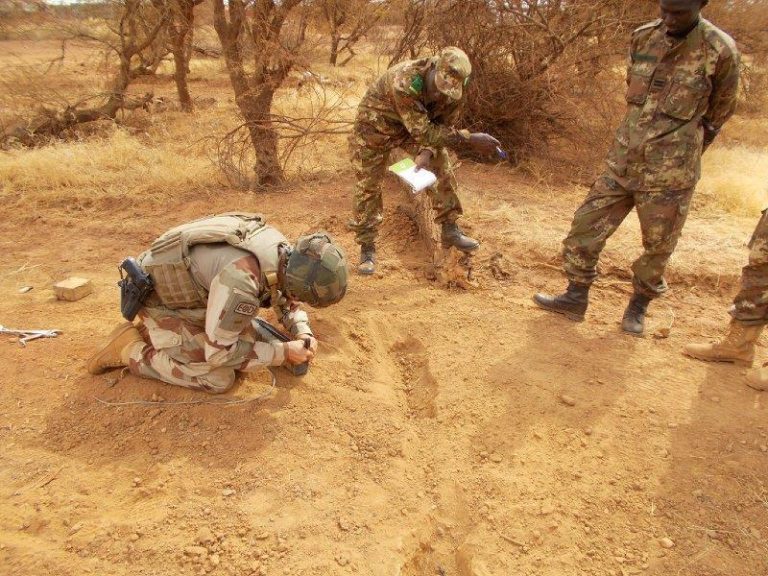 Insécurité à l’Est: un terroriste abattu par les FDS
