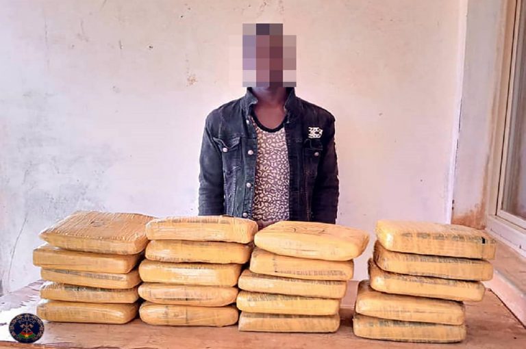Trafic de drogue à Bobo : 20 kg de cannabis saisis par la Police nationale