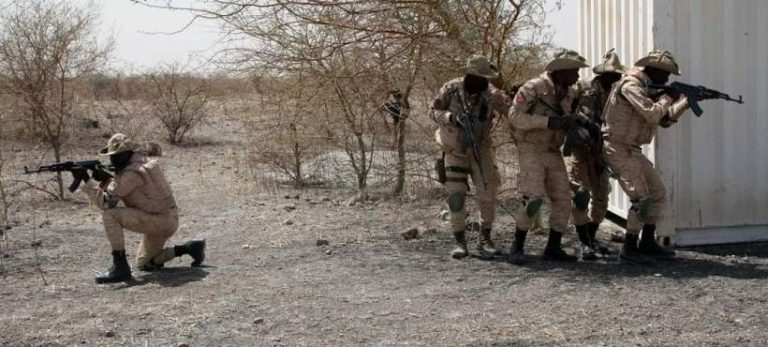 Province du Yagha : 11 terroristes neutralisés