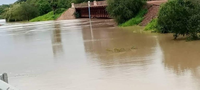 Poura : la consommation du poisson issu du fleuve Mouhoun déconseillée