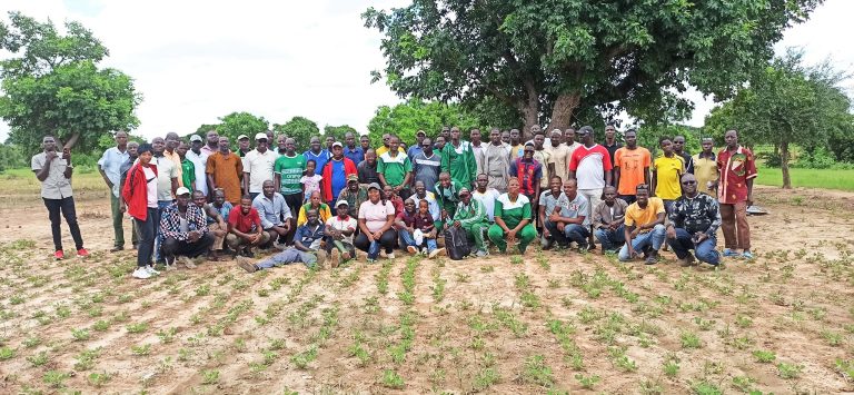 Journée nationale de l’arbre 2023 : Abdoul Aziz Tiemtoré et ses amis mettent en terre 350 plants