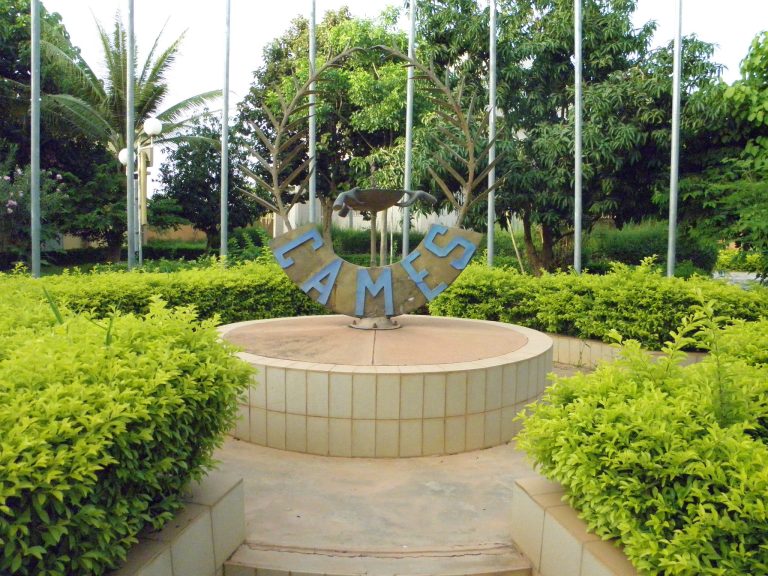 Enseignement supérieur : le Burkina Faso, major à la 47e session du CAMES